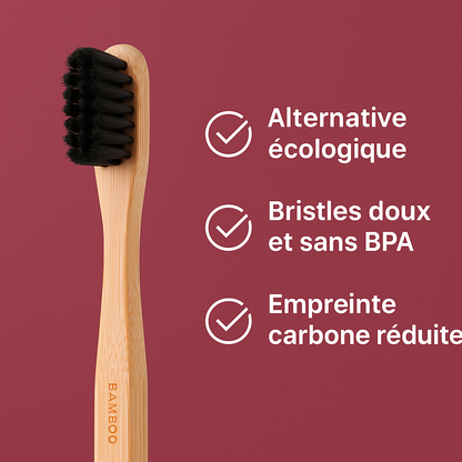 Brosses à dents en bambou (x10)